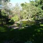 Gartenteich