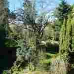 Gartengrundstück